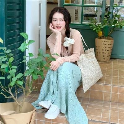 安妮日记：始末